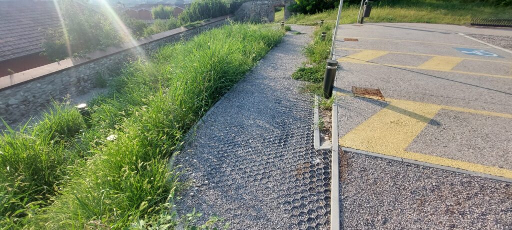 il dettaglio del parcheggio riservato ai disabili e la barriera architettonica formata dall'erba alta.
