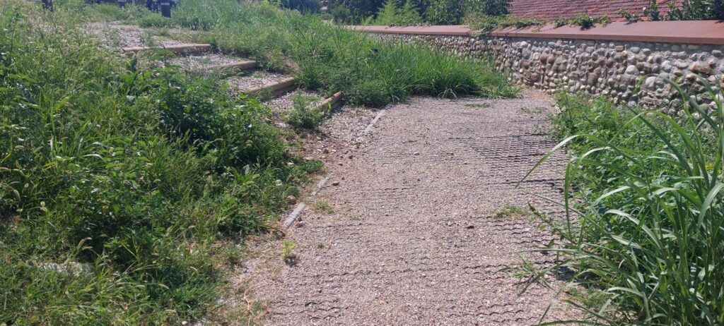 dettaglio dell'erba alta; vista dall'ingresso pedonale e accesso al parcheggio