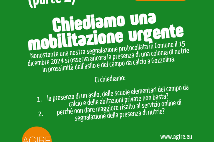 nutrie a gozzolina grafica della seconda segnalazione