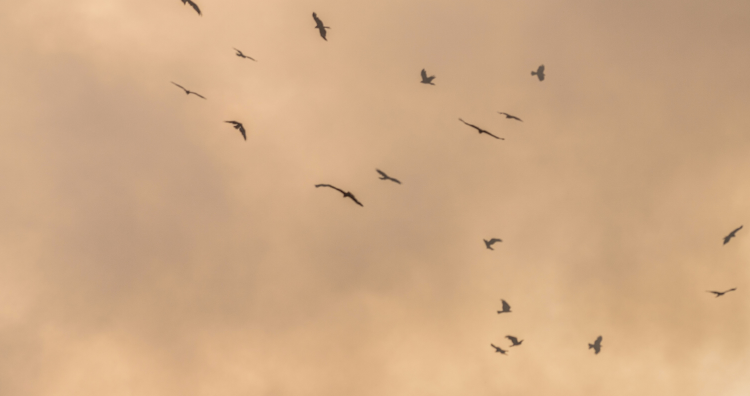qualità dell'aria scarsa